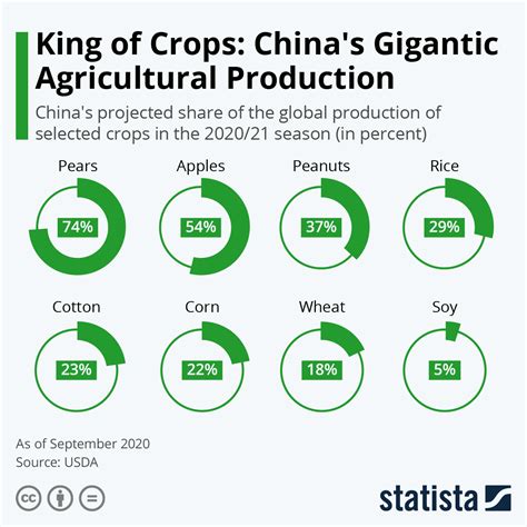 what are the major crops grown in china